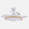 Ventilador Dc Blondi