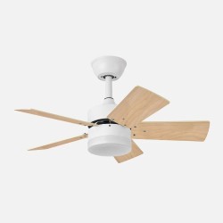 Ventilador Dc Marta