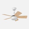 Ventilador Dc Marta