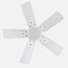 Ventilador Dc Marta