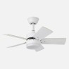 Ventilador Dc Marta