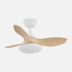 Ventilador Dc Paramo