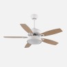 Ventilador 30w Dc Braw