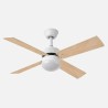 Ventilador Dc Sofia