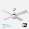 Ventilador Dc Sofia