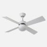 Ventilador Dc Sofia