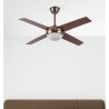 Ventilador Dc Ciro