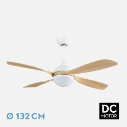 Ventilador Dc Livorno