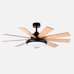 Ventilador DC Pireo