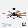 Ventilador DC Pireo