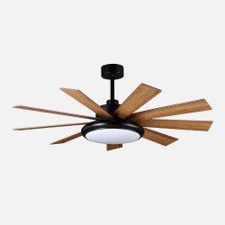 Ventilador DC Pireo