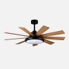 Ventilador DC Pireo