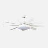 Ventilador DC Pireo