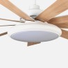 Ventilador DC Pireo