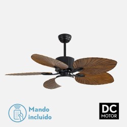 Ventilador Colla