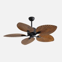 Ventilador Colla
