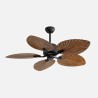 Ventilador Colla