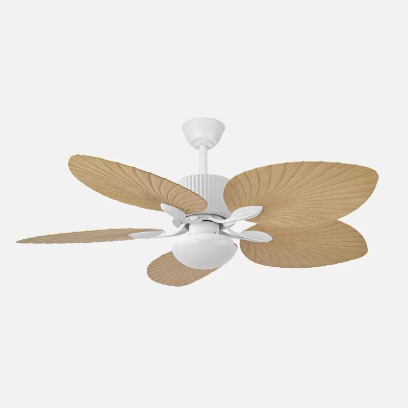 Ventilador Colla Ventilador Colla