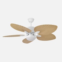 Ventilador Colla