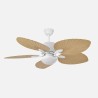 Ventilador Colla