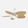 Ventilador Colla