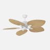 Ventilador Colla