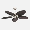Ventilador Dc Borasco