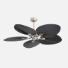Ventilador Dc Chaw