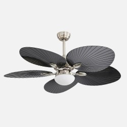 Ventilador Dc Chaw
